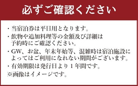 ホテル竜宮 ペア宿泊券（1泊朝食付き） 平日限定 ホテル 旅館 宿泊 観光 熊本県 上天草市