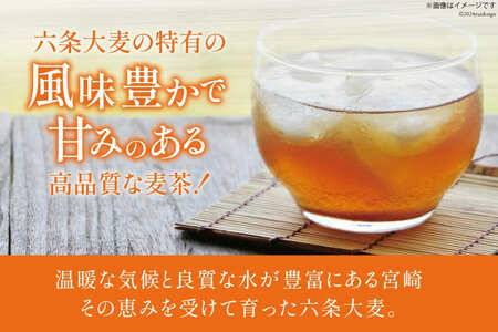お茶 六条麦茶 ( 10g 20包 ) 10袋 [日向百生会 宮崎県 日向市 452061128]