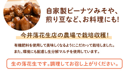 訳あり お徳用 茨城県産 生落花生 合計920g (230g×4袋)[BB011sa]