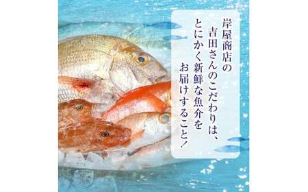 【隔月3回定期便 / 下処理済】鮮魚セット 三陸海の恵み詰め合わせ  (1回あたりのお届け目安：1～2人用) 【 鮮魚 海鮮 お刺身 魚介 魚介類 鮮魚BOX 詰め合わせ セット 三陸産 国産 天然 宴会 時短 便利 簡単 お手軽 岩手県 陸前高田市 産地直送 】 RT2581