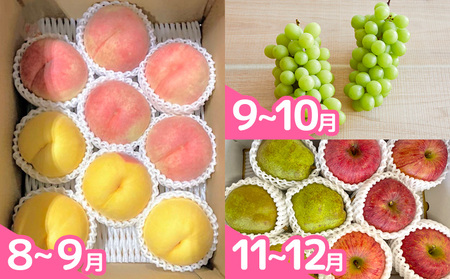 【定期便5回】明治9年にさくらんぼの栽培を開始したやまや園の嬉しい定期便 FY25-256