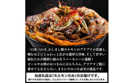 かしまし豚ホルモン炭火焼き オリジナルたれ漬 約１kg（500g×２パック）(KDQ-7)