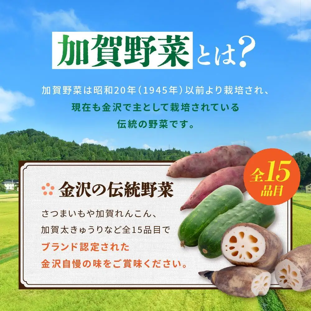 ★【全10回】JA金沢市 季節の加賀野菜・金沢地物野菜セット頒布会（毎月１回）