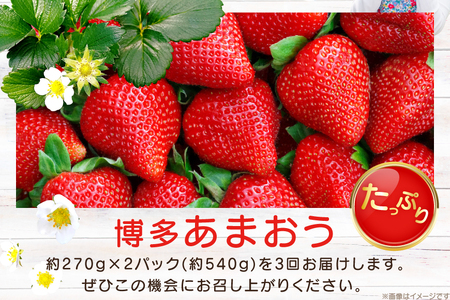 【期間限定発送】 いちご 3回 定期便 福岡県産 完熟 博多 あまおう 270g 2p 総計6p [mhshops 福岡県 筑紫野市 21761226]