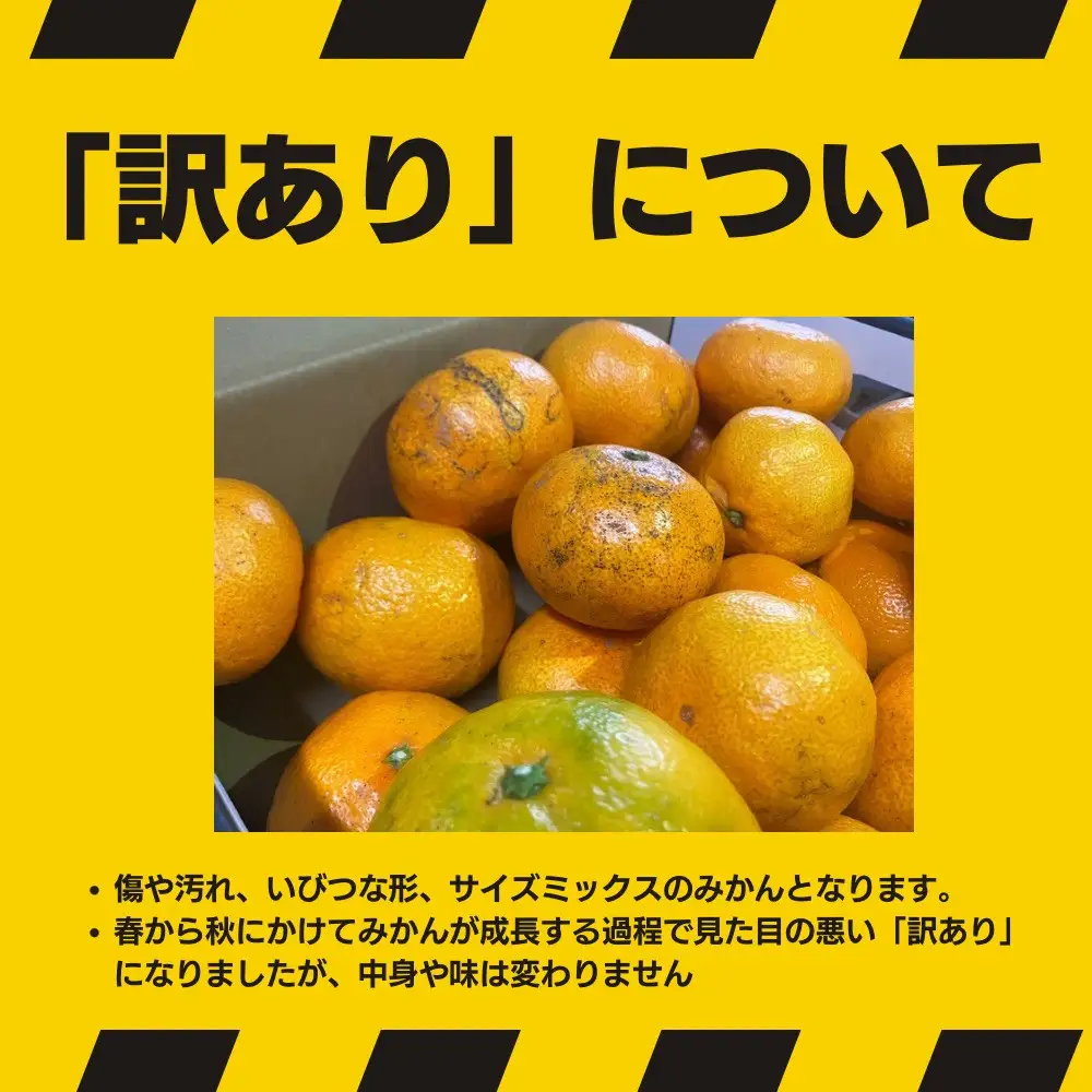 有田みかん 約3kg みかん 家庭用 訳あり