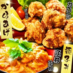 小分けで便利！鹿児島県産若鶏もも肉切身 計5kg(250g×20P) 鶏肉 とり肉 鳥肉 鶏もも肉 とりもも もも肉 もも モモ 若鶏 小分け 真空 真空パック 保存 カット カット済 唐揚げ 煮物 鍋 おかず お弁当などに a9-048