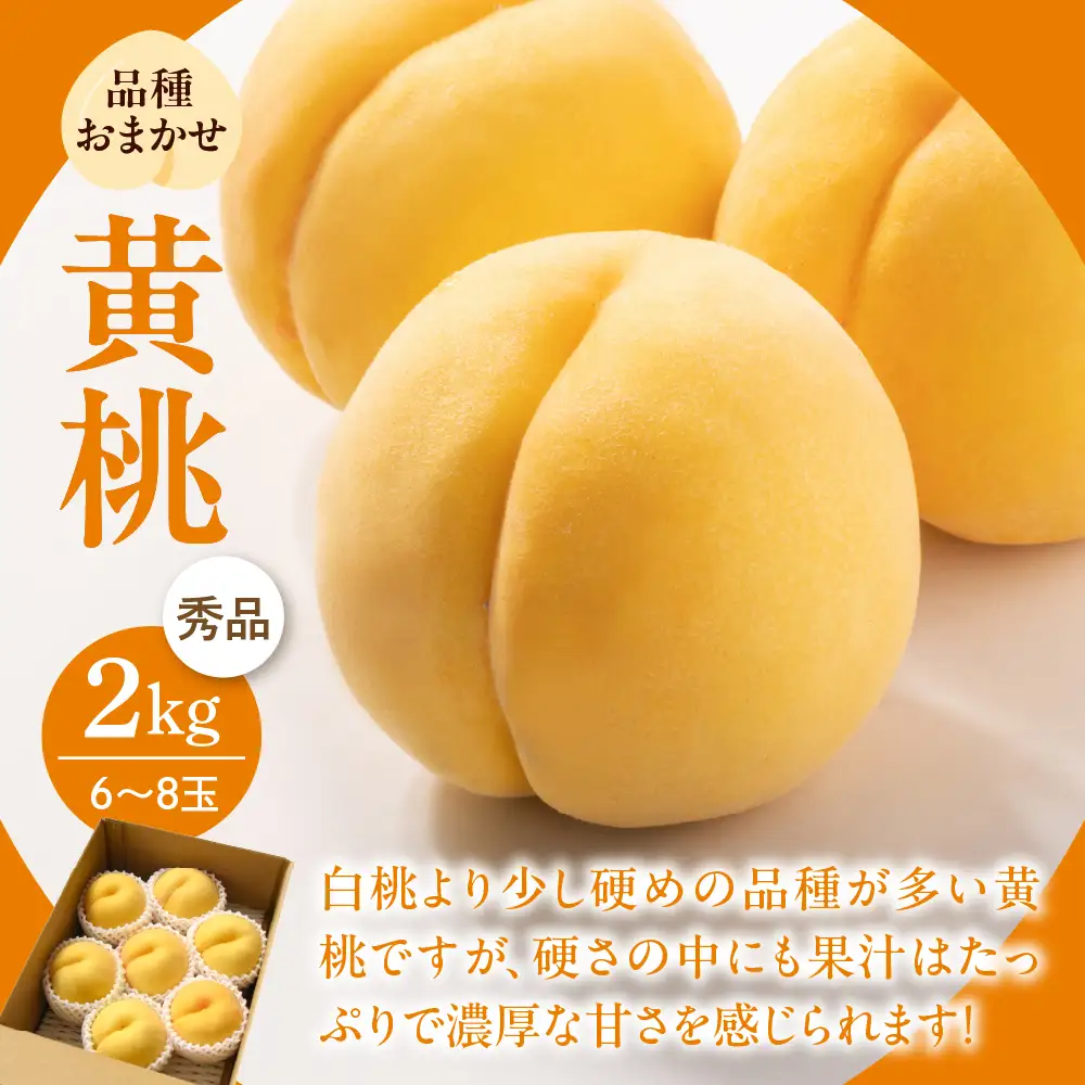 定期便 3回 お取り寄せ 黄桃 マスカット サンフジ 定期便 フルーツ