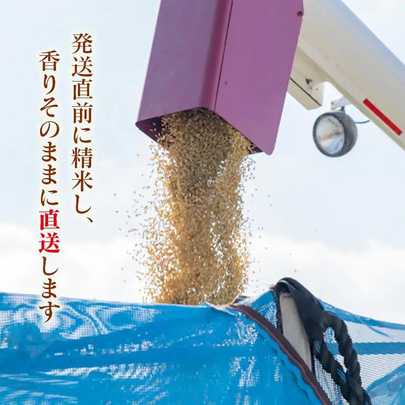 【令和8年産新米・先行予約】農家直送 ヒノヒカリ 5kg 精米済み 10月より発送開始＜57-2a＞