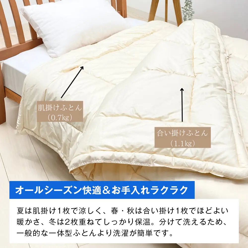 清潔掛ふとん 洗えるインビスタ ダクロン ２枚合わせ 日本製 SL ふわもち15TW