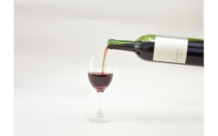 塩谷メルロー 2022 赤ワイン 750ml 2本セット