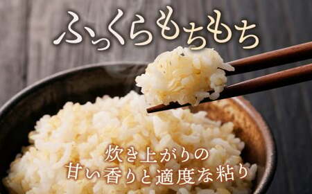 令和7年産新米 コシヒカリ玄米30kg ｜ 米 お米 国産 栃木県 塩谷町 ※2025年12月上旬～2026年9月中旬頃に順次発送予定