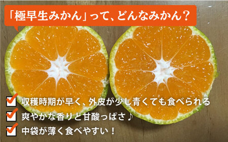  極早生みかん 5kg [CCZ001] みかん