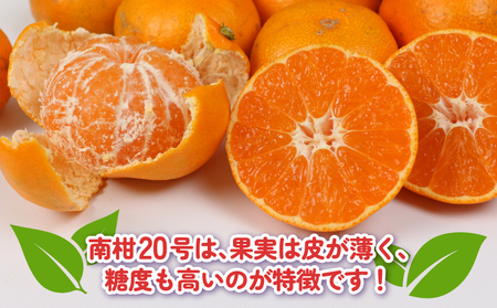 【柑橘】 訳あり 南柑20号 10kg 杉本屋 柑橘 B018-143028