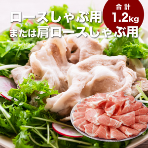 宮崎県産豚肉3.8㎏セット_K65_0008_1