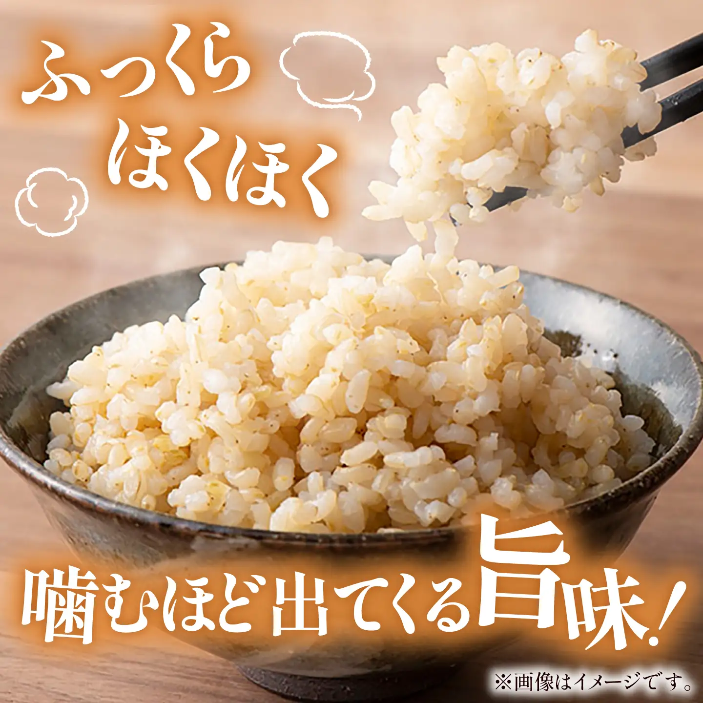 【玄米】先行予約／令和8年産新米 コシヒカリ 10Kg 玄米 [AIAN003]