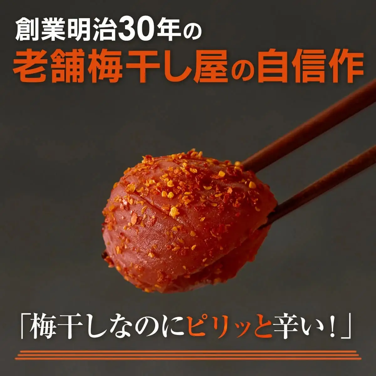 紀州産南高梅 梅干し 辛子梅 400g 塩分8% 中田食品 梅干 和歌山