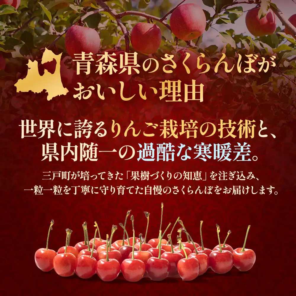 高級さくらんぼ「ジュノハート」（3L相当以上・15粒） 化粧箱入り 