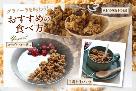 夢みるグラノーラ 200g×1袋 グラノーラ シリアル 大豆ミート おからパウダー 大豆 イソフラボン 高たんぱく 高タンパク プロテイン 食物繊維 健康 腸活 ダイエット 朝食 おやつ 軽食 朝ごはん ヘルシー