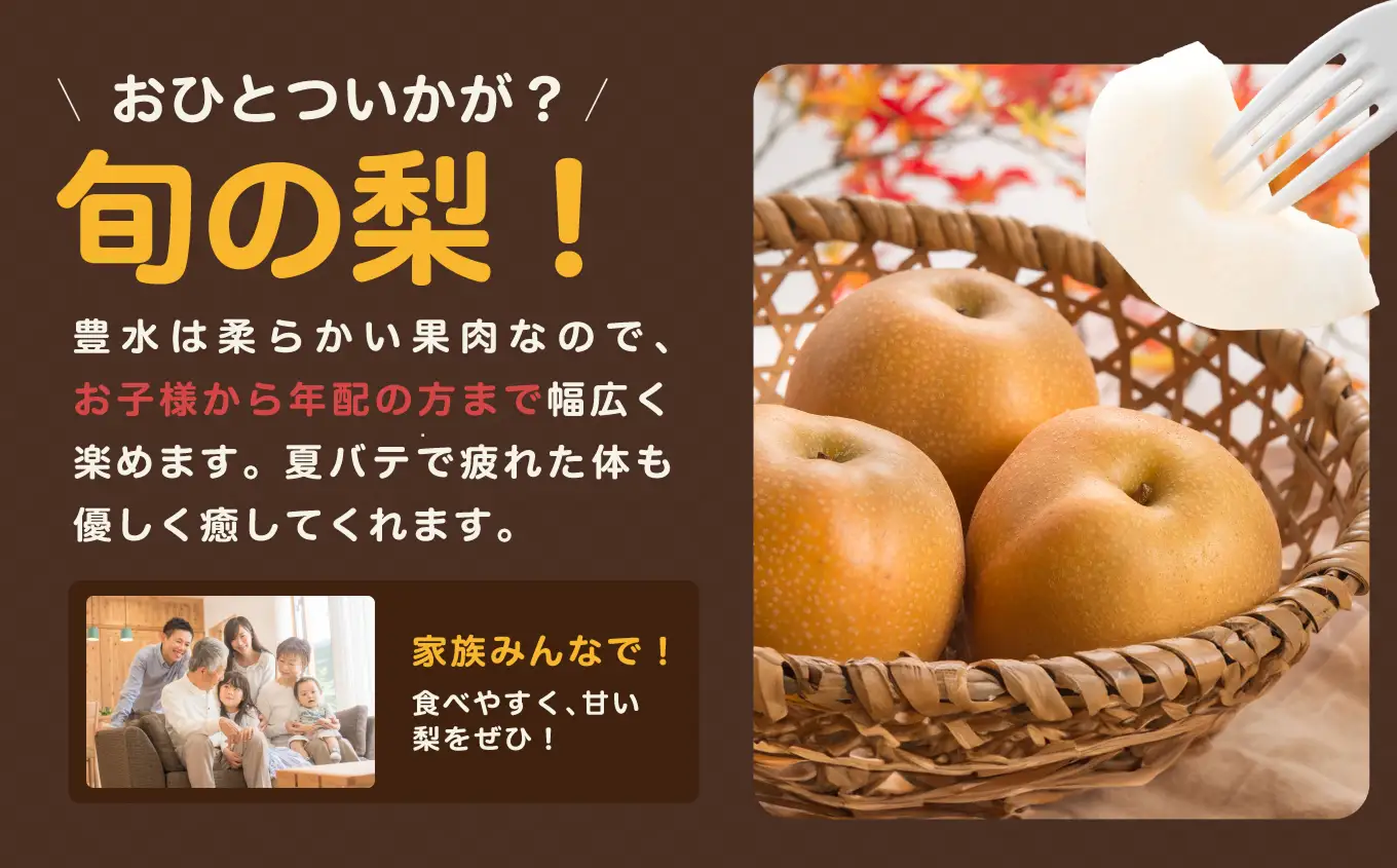 【9月上旬から発送予定】南信州産 「豊水梨」 約5kg 12～16玉 糖度11.0以上｜長野県 飯田市