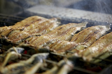 【なにわの名工】炭火手焼き鰻 浜名湖産天然うなぎ 2尾 鰻_OS157-0003