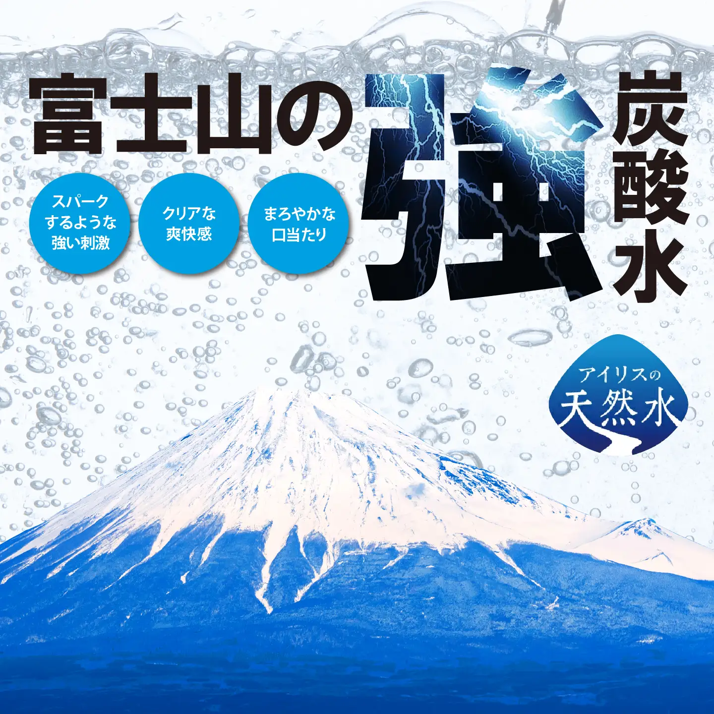 強炭酸水 最短3日 ラベルレス レモン PET500ml×1箱（24本入） 炭酸