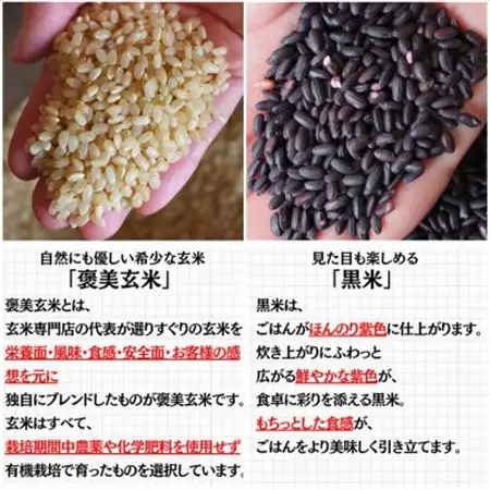 【白米に混ぜて簡単!】国産 有機黒米ブレンド1.5kg(250g×6袋入り)【1633251】