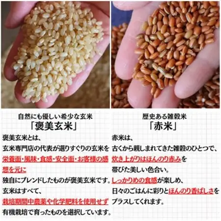 【白米に混ぜて簡単!】国産 有機赤米ブレンド3.0kg(250g×12袋入り)【1633348】