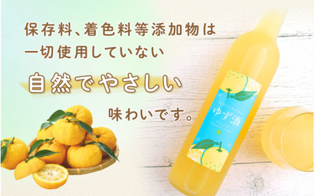【岡山の酒】 御前酒 ゆず酒 500ml×2本 / 辻本店 真庭市 【thtn020-02】