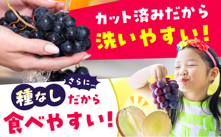 【★先行予約★ 2026年7月下旬より発送】【ご家庭用】種無し巨峰 約350g×4P / ぶどう 巨峰 果物[AFAB086]