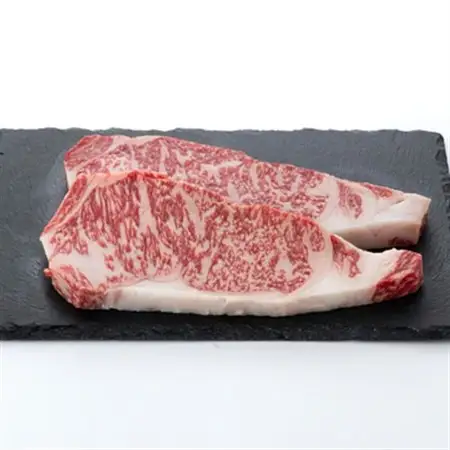 【食通の静岡牛】  サーロインステーキ　250g×2枚×2P _静岡牛 サーロイン ステーキ_【配送不可地域：離島】【1637188】