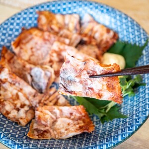 いか姿焼きせんべい 100g×1袋 カット済 冷凍 せんべい