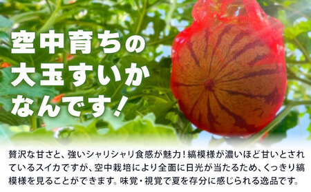 すいか 大玉すいか 祭ばやし 1玉