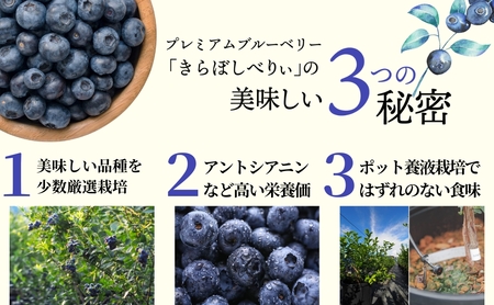 きらぼしべりぃのリッチソルベ6個入り アイス ソルベ アイス