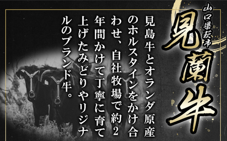 もつ煮込みうどんスープ（5～6人前）