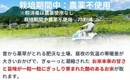 【定期便6回】ひとめぼれ 低農薬栽培＜令和7年産 玄米 5kg ＞ / ふるさと納税 低農薬 米 お米 こめ コメ 国産 新米 玄米 一等米 農家やまおか 奈良県 宇陀市陀市 ふるさと納税 