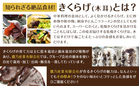 乾燥きくらげ 100g 鷹乃産業有限会社 《30日以内に出荷予定(土日祝除く)》熊本県 球磨郡 山江村 きくらげ きのこ 野菜