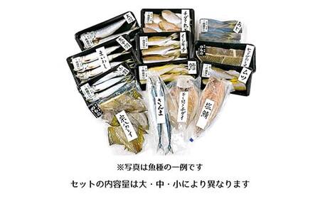 おまかせ干物セット（中）【大和水産】三陸山田 山田町 魚 魚介 干物 おかず 夕飯 詰合せ カワハギ アジ メアジ チダイ サバ イワシ サンマ タラ カレイ ムツ YD-832