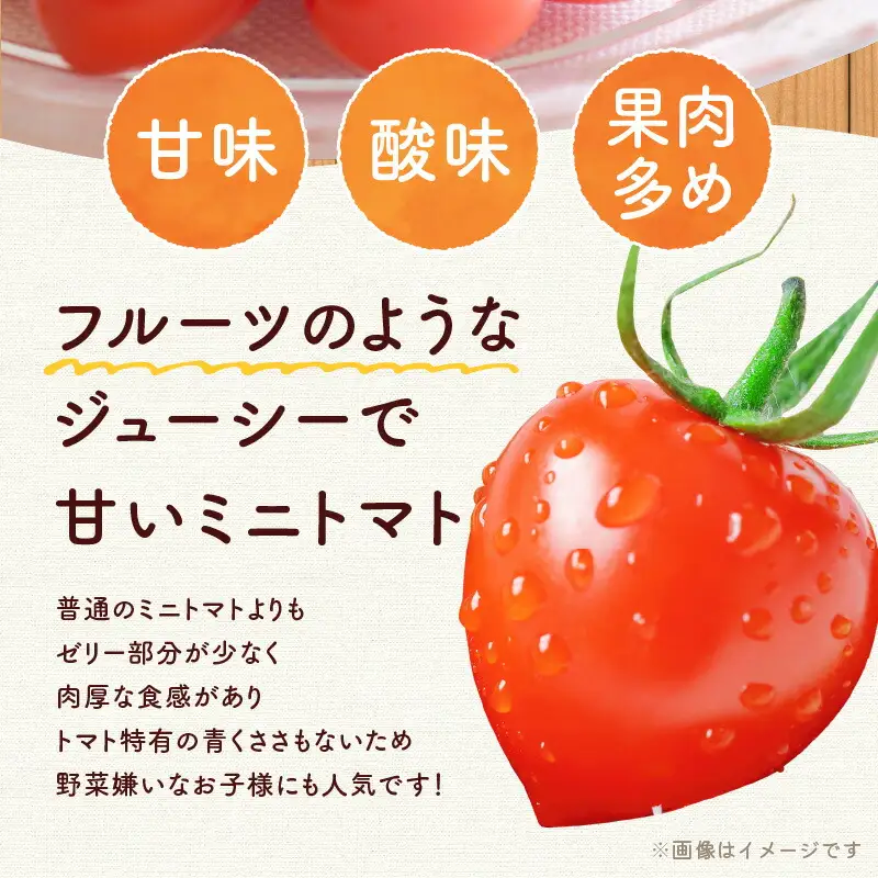 【先行予約：2026年7月下旬頃より発送】NicoFarm トマトベリー（ミニトマト）1Kg_ Y124-0011