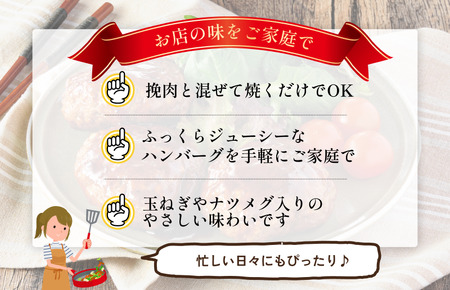 豆腐ハンバーグの素（3個分／袋）100g／袋×12パック【V002860THA12】