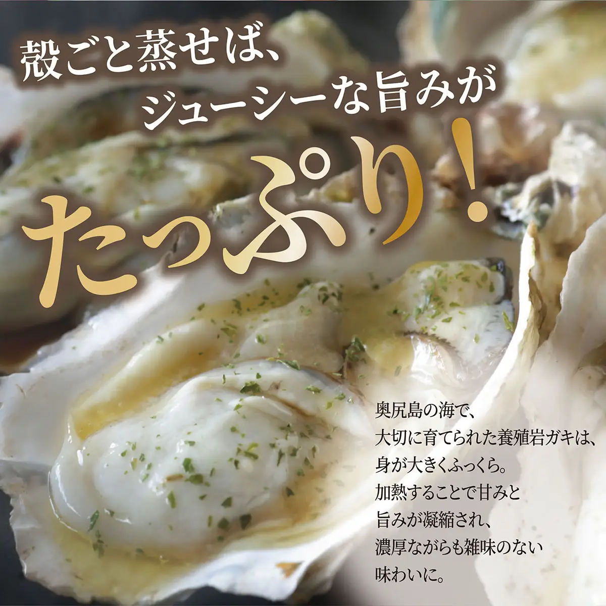 【先行予約 2025年7月20日より発送】奥尻島産養殖岩ガキ【Mサイズ】殻付き　10個入り（加熱食用）～豊かな海が育てた海の宝石～ 