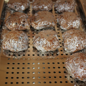 長岡式・冷凍・酵素玄米ごはん 150g×32個セット  玄米 ごはん ご飯 セット 冷凍