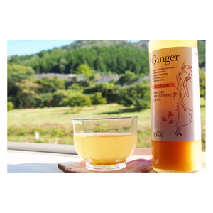 【化粧箱入】3倍濃縮タイプのむ酢セット（檸檬・柚子・生姜）200ml×5本＜のむ檸檬酢 3本・のむ柚子酢 1本・のむ生姜酢 1本）＞
