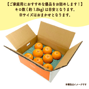 【2026年11月中旬頃から発送予定】愛果28号 (紅まどんな と同品種) 家庭用(優品) 約1.8kg  |  愛媛産 愛媛県産 国産 愛媛みかん 愛媛蜜柑 愛媛ミカン みかん ミカン mikan 蜜柑 柑橘 フルーツ 果物 くだもの お取り寄せ 産地直送 数量限定 人気 おすすめ 愛媛県 松山市 送料無料 【KK321】