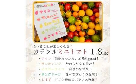 【ミニトマト】カラフルミニトマト！ 約1.8kg (3～5種入り)