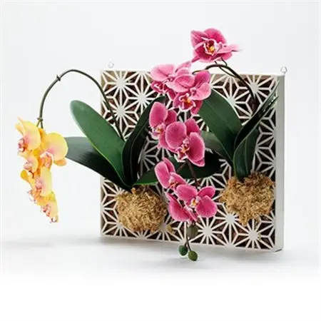 Epiphyte　Art　Products　麻の葉　L　白【1632290】