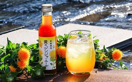 【萬屋薬局】黄のジンジャーエール 180ml×1本 F2Y-6994