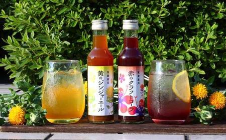 【萬屋薬局】2種飲み比べ2本セット 赤のクラフトコーラ・黄のジンジャーエール F2Y-6996