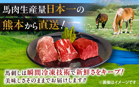 馬刺し2点盛り計約200g 馬刺し醤油 BHAC001