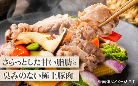 切り落とし メガ盛り(計約2kg) 豚肉切り落とし BHAH009