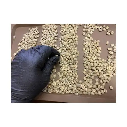 [やいたブランド認証品] 自家焙煎珈琲豆 YAITA BLEND《TSUTSUJI》(シティロースト) 100g×3袋【粉でお届け】｜SAKURA黒猫堂 珈琲 焙煎 コーヒー豆 矢板市 やいたブランド
